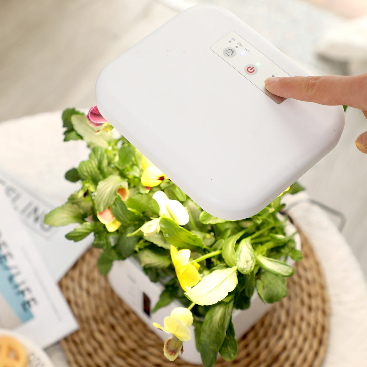 Hydroponic Indoor Growing System Worth It? Ahopegarden