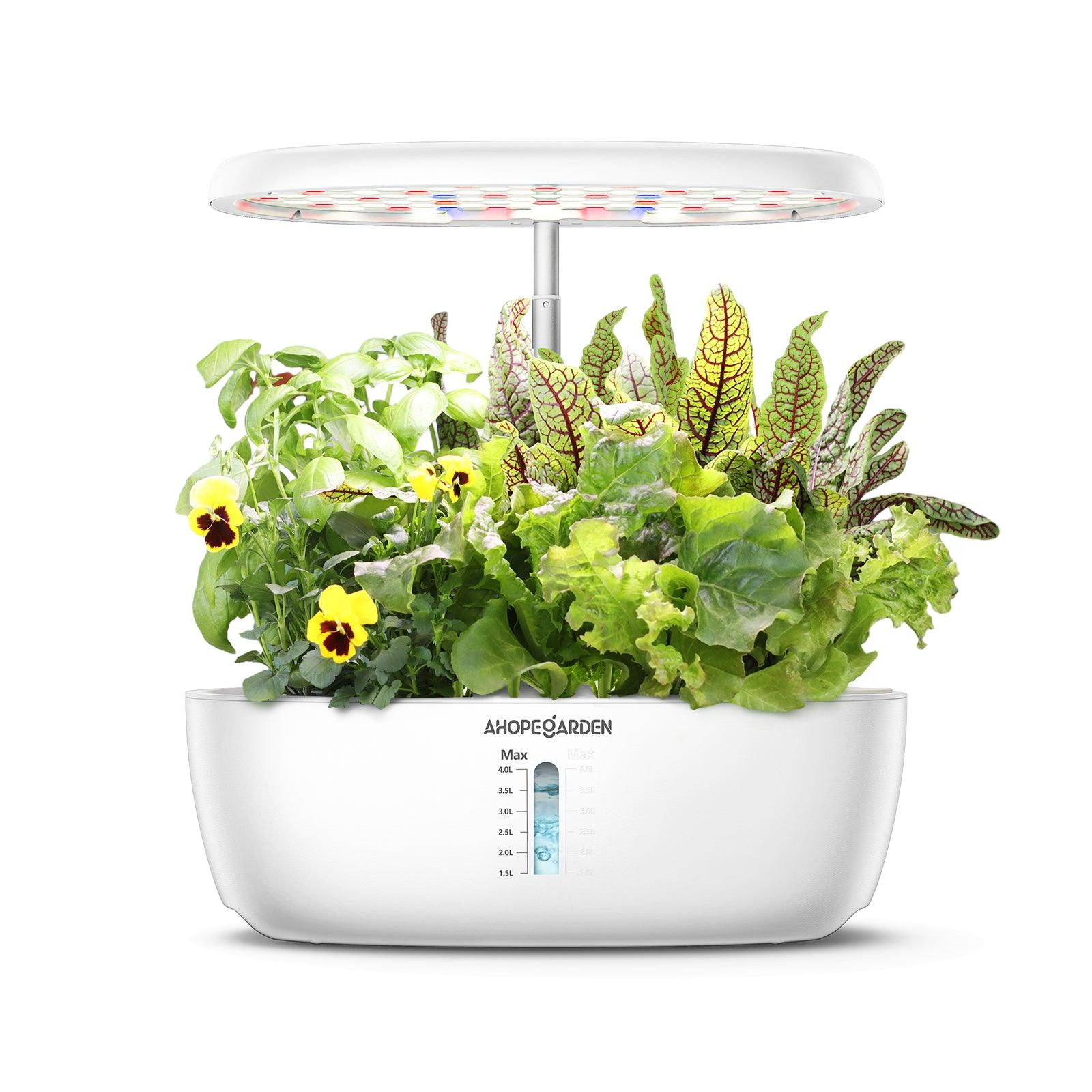 rise garden seed pods 12 Seed Pods Smart Garden, White