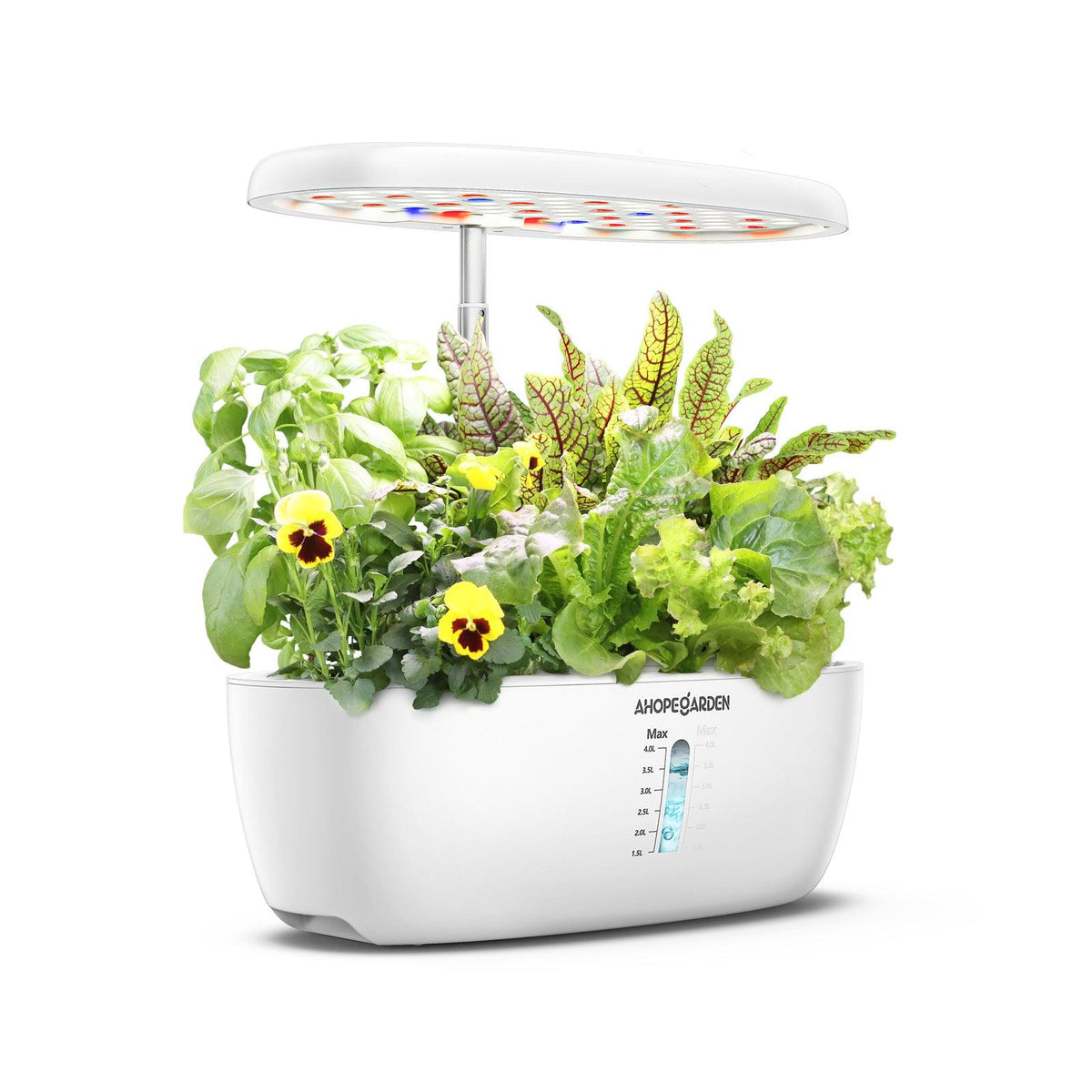 can you plant seeds in a hydroponic system 12 Seed Pods Smart Garden Hydroponic Grow System – Ahopegarden