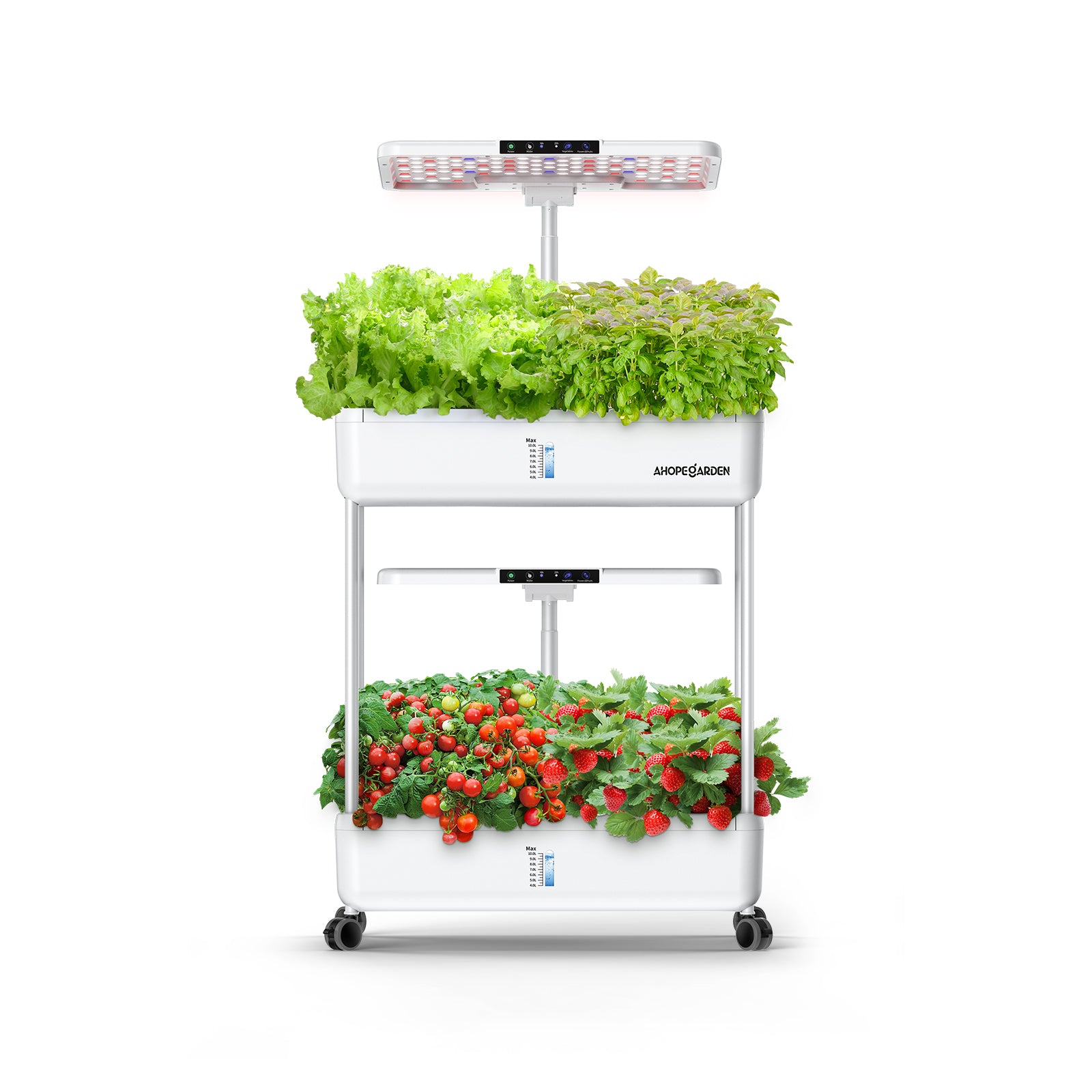 hydroponic planta Vertical Hydroponic Garden with 60 Seed Pods