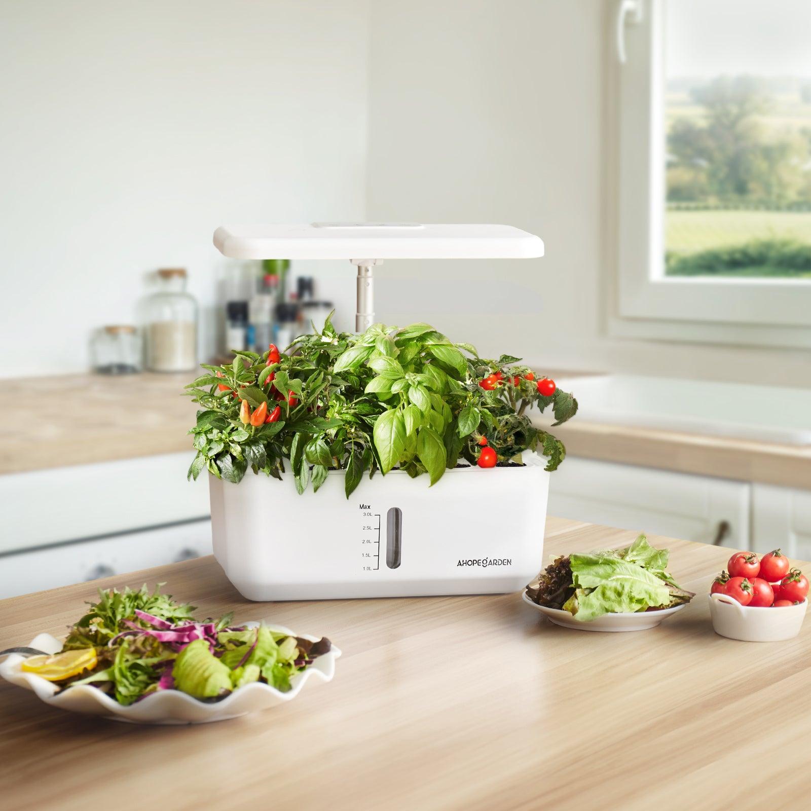 hydroponic indoor garden seeds 10 Seed Pods Smart Garden Indoor Hydroponic System – Ahopegarden