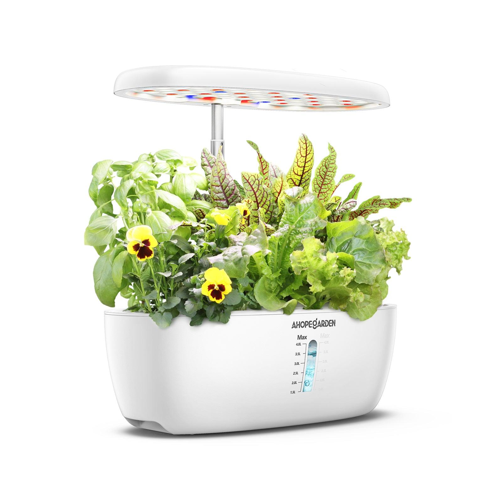 hydroponic garden seed pods 12 Seed Pods Smart Garden, White