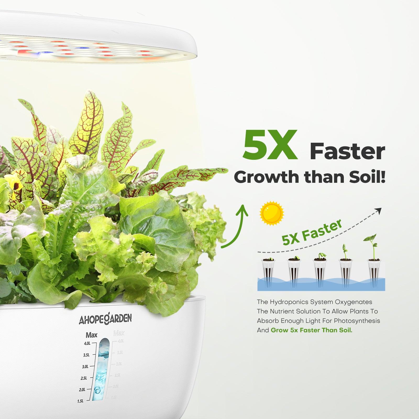 Hydroponic System Grows 5X faster than soil planting