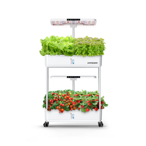 HYDROPONIC ハイドロポニック MEXICAN SKILL 8.2” 1600x1600_grande.jpg?v=1732185222
