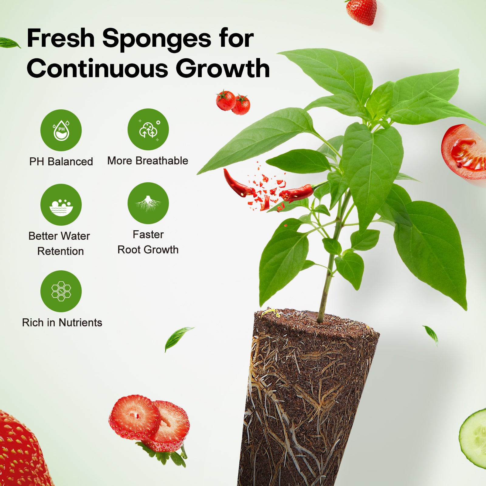 52 Pcs Seed Starter Kit