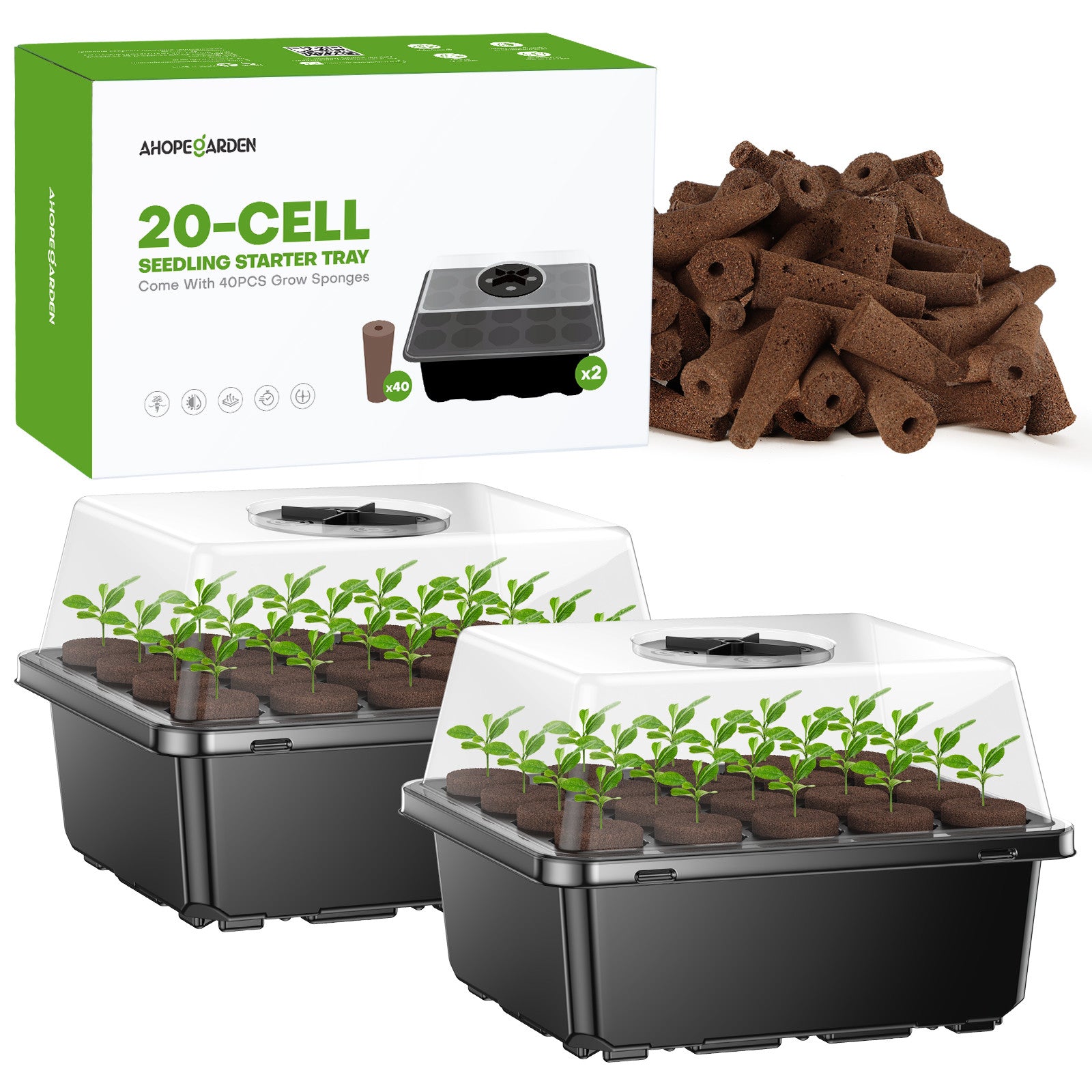 Ahope 40-Cell Seed Starting Trays: Packaging and Seed Growth