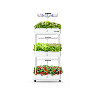 311 – Hydroponic Enlarged To Show Detail Homie 28 – Home Hydroponic Growing System