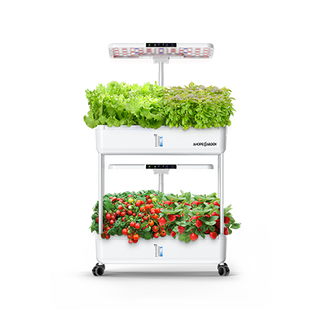 Vertical Hydroponic Garden with 60 Seed Pods | Shop Ahopegarden