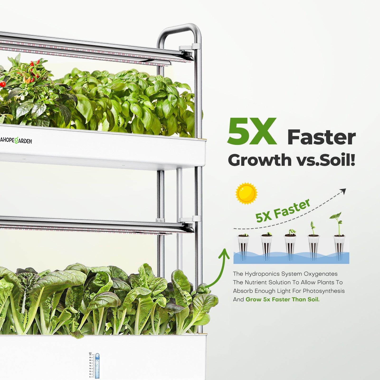 Hydroponic Garden Grows 5X Faster Than Soil Planting 