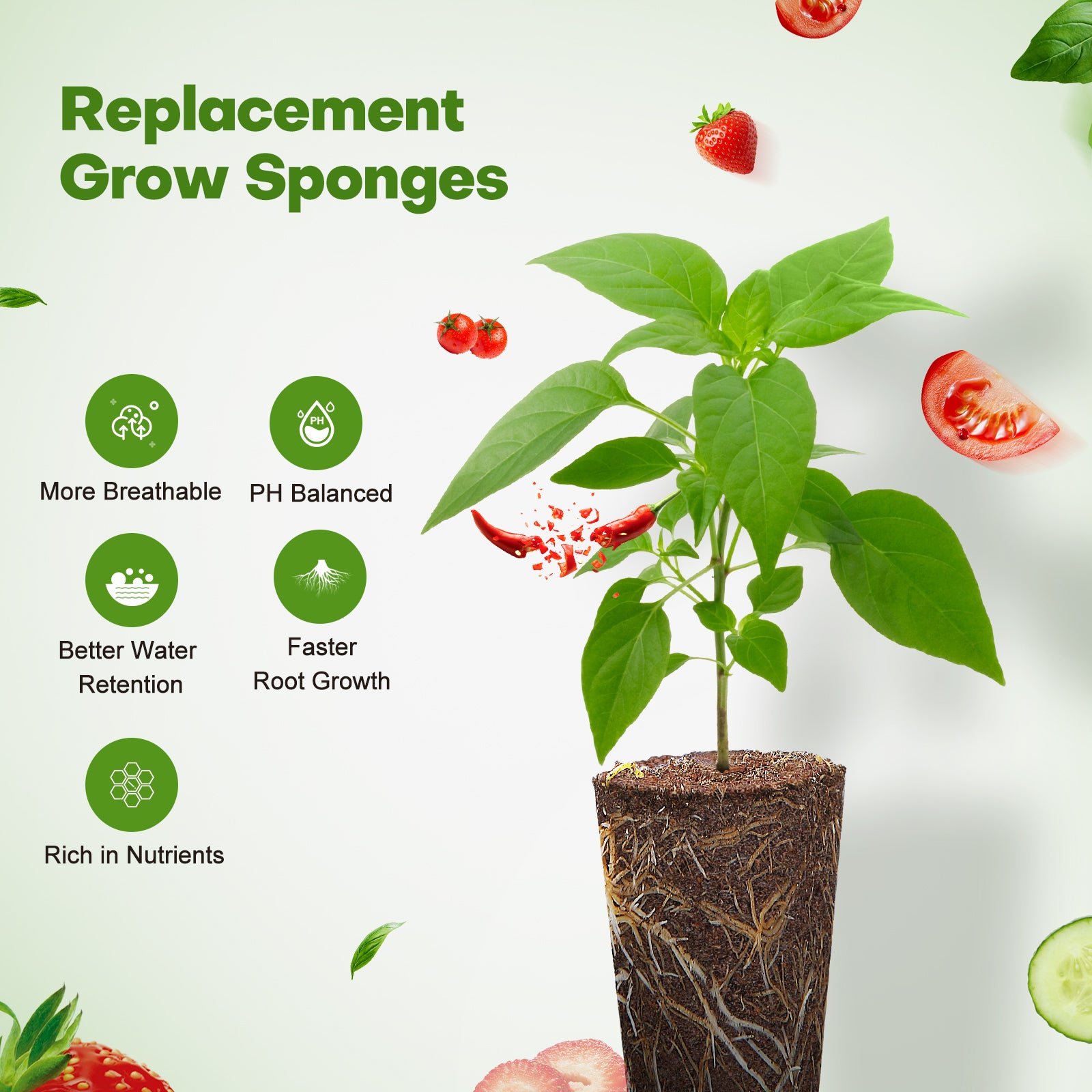 50 Pcs Grow Sponges for Hydroponic