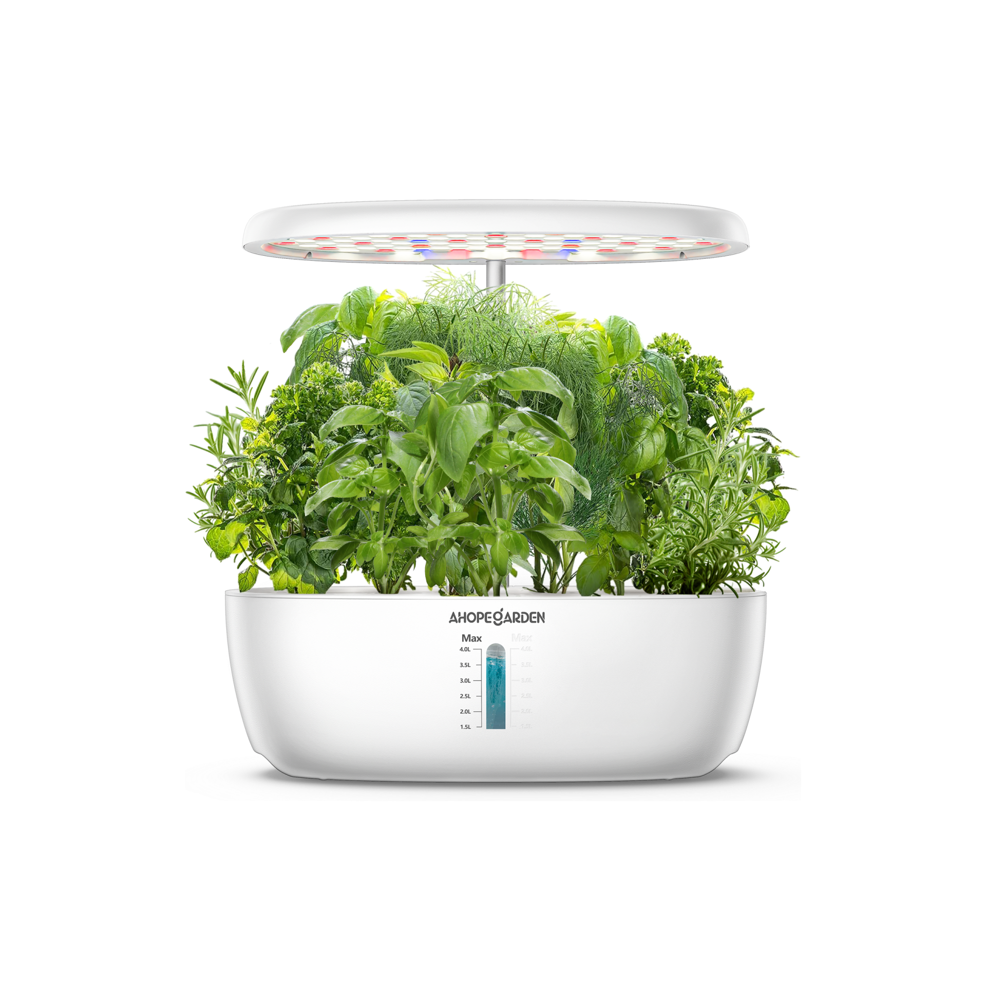 12 Seed Pods Smart Garden