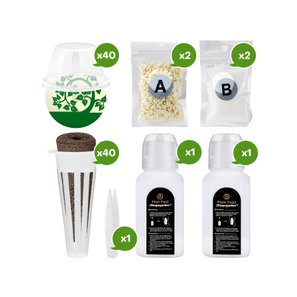 167 Pcs Seed Starter Kit