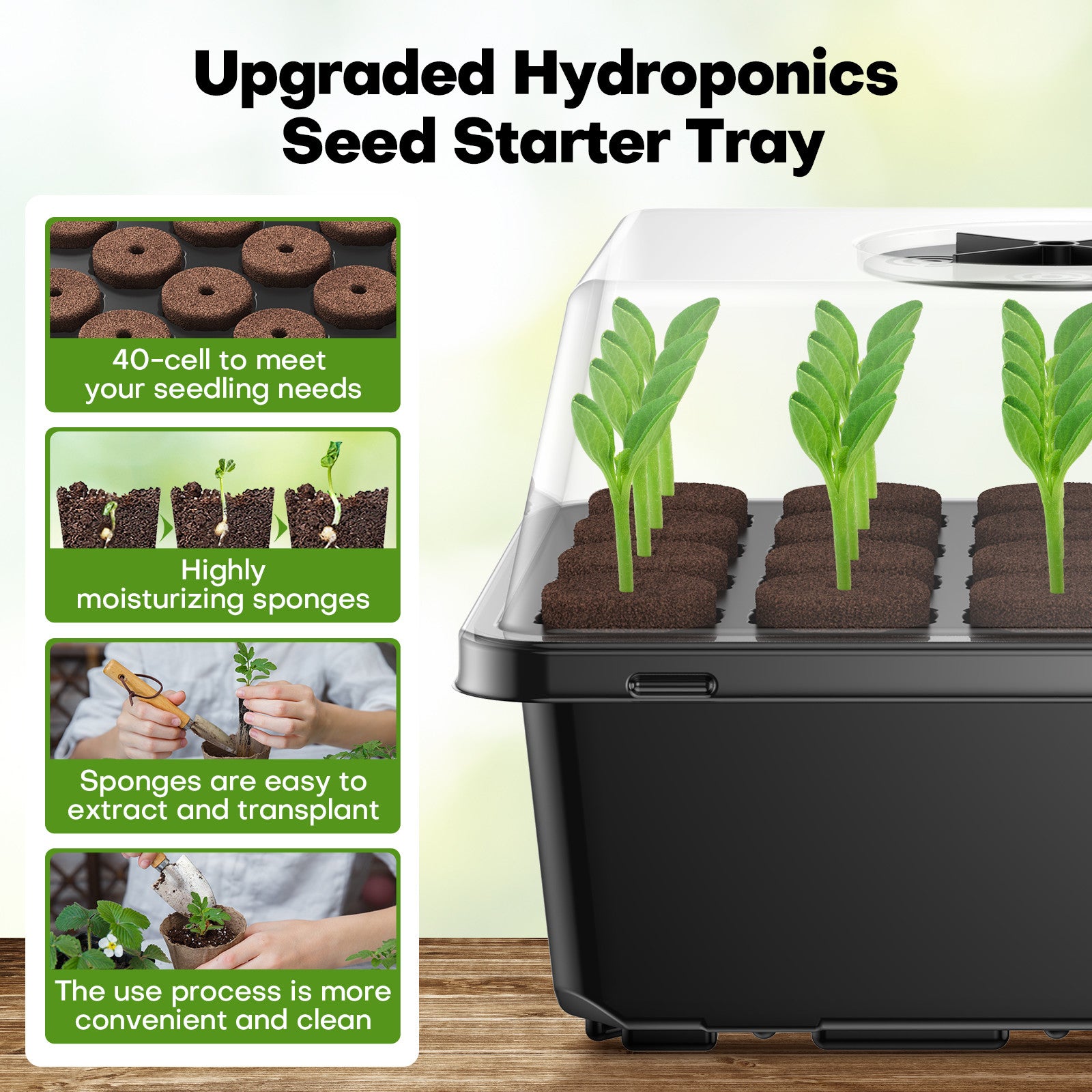 Key Features: Why Choose Ahope 40-Cell Seed Starting Trays