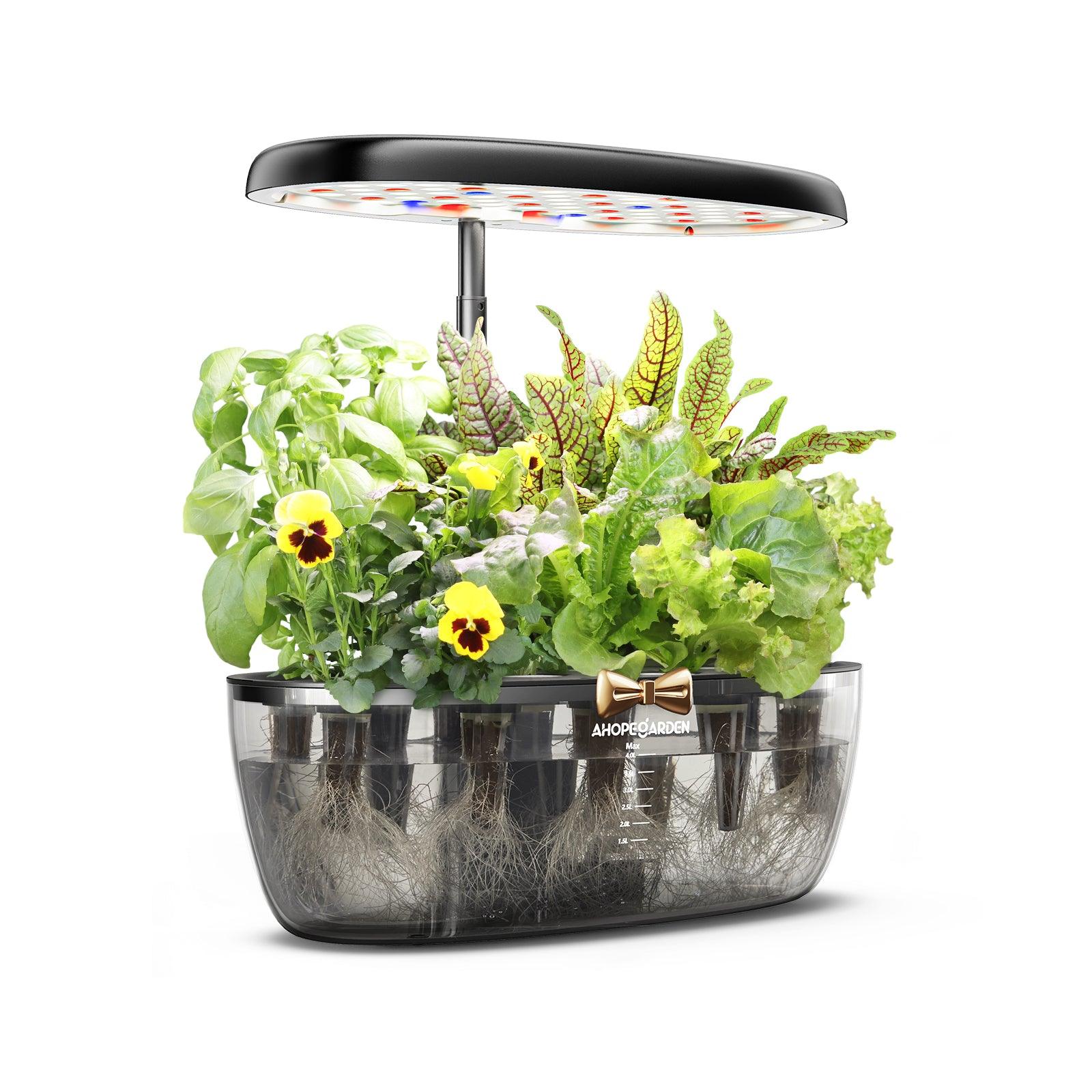 Transparent Smart Garden Hydroponic System Side View