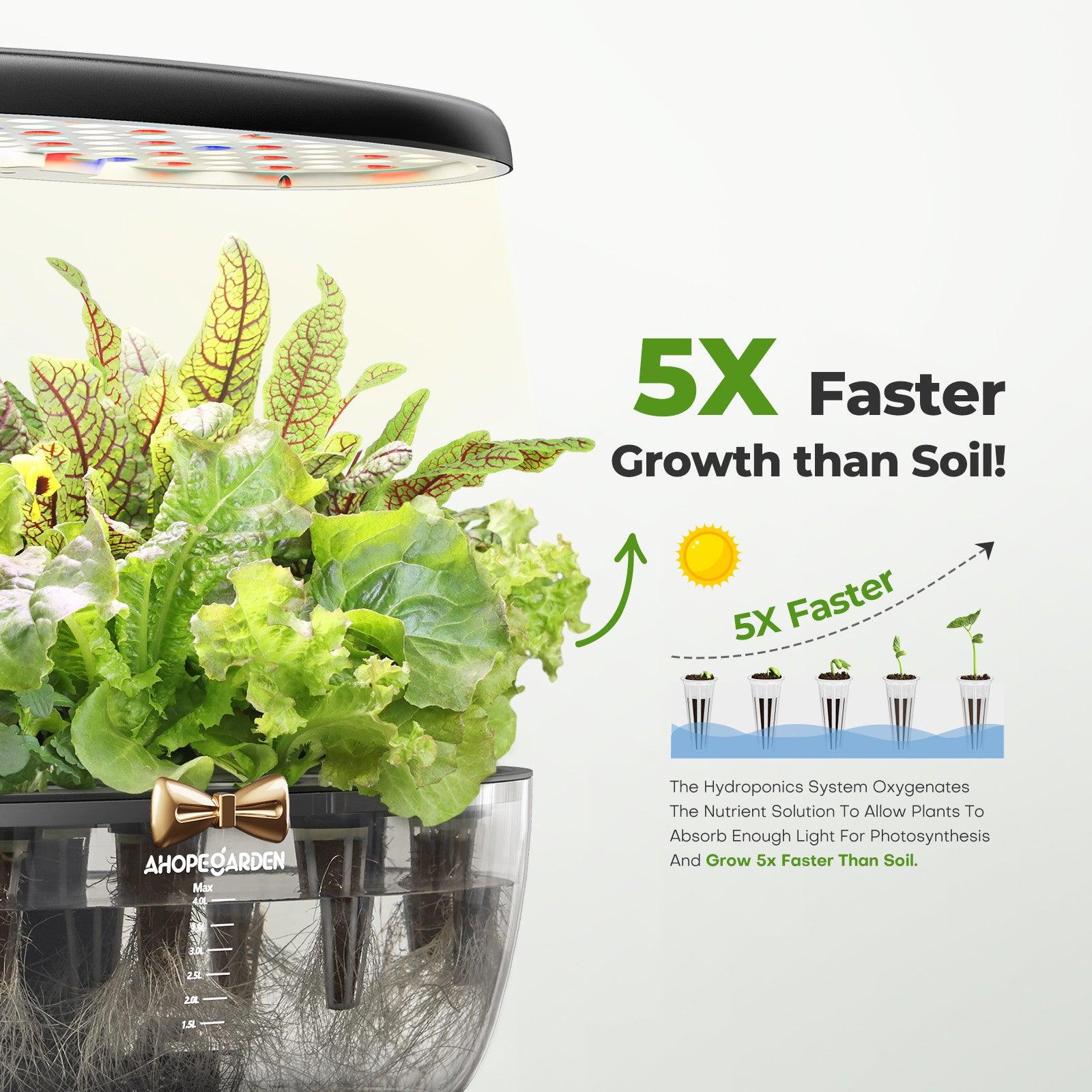 Hydroponic System Grows 5X faster than soil planting