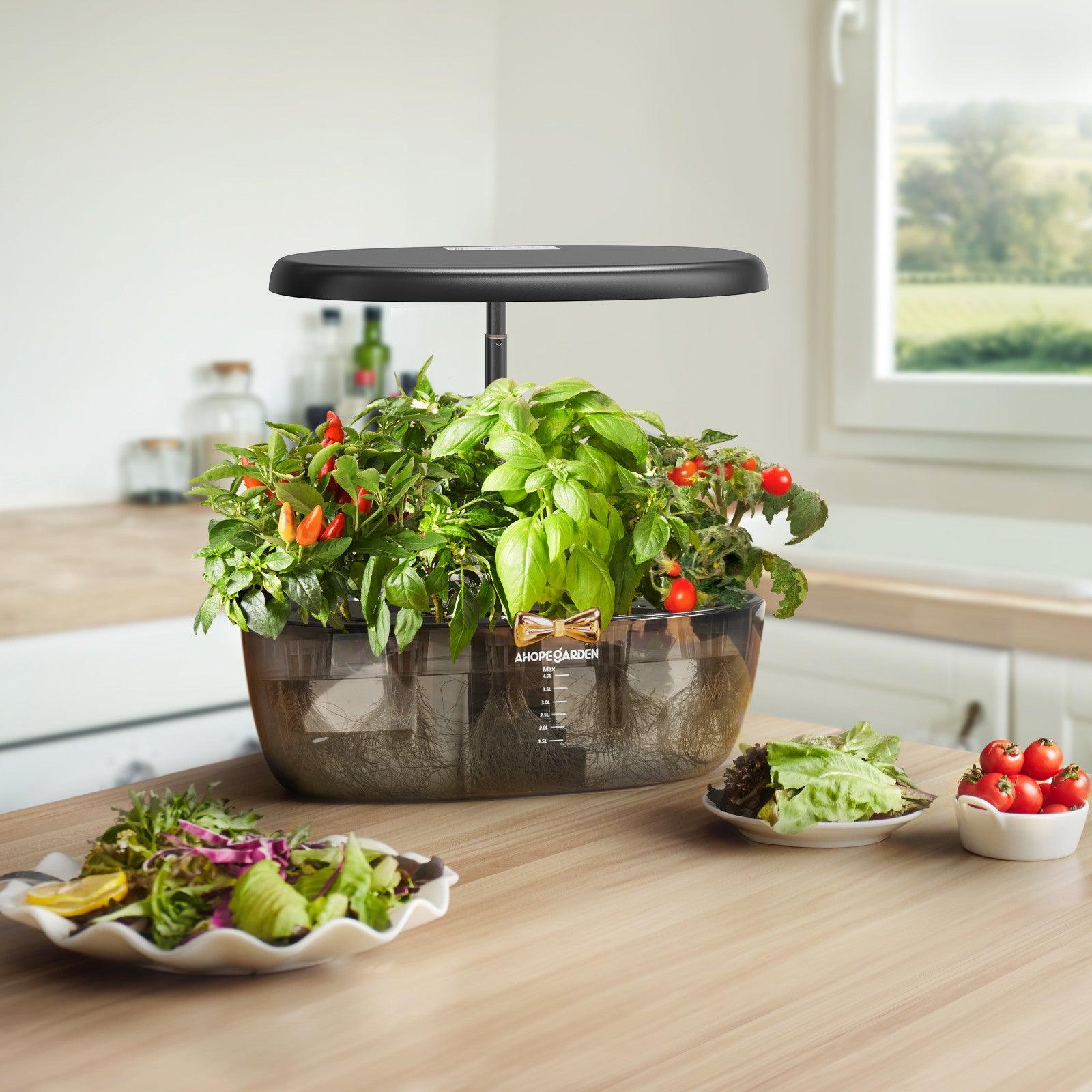Kitchen lush with Ahope Transparent Smart Garden Hydroponic System