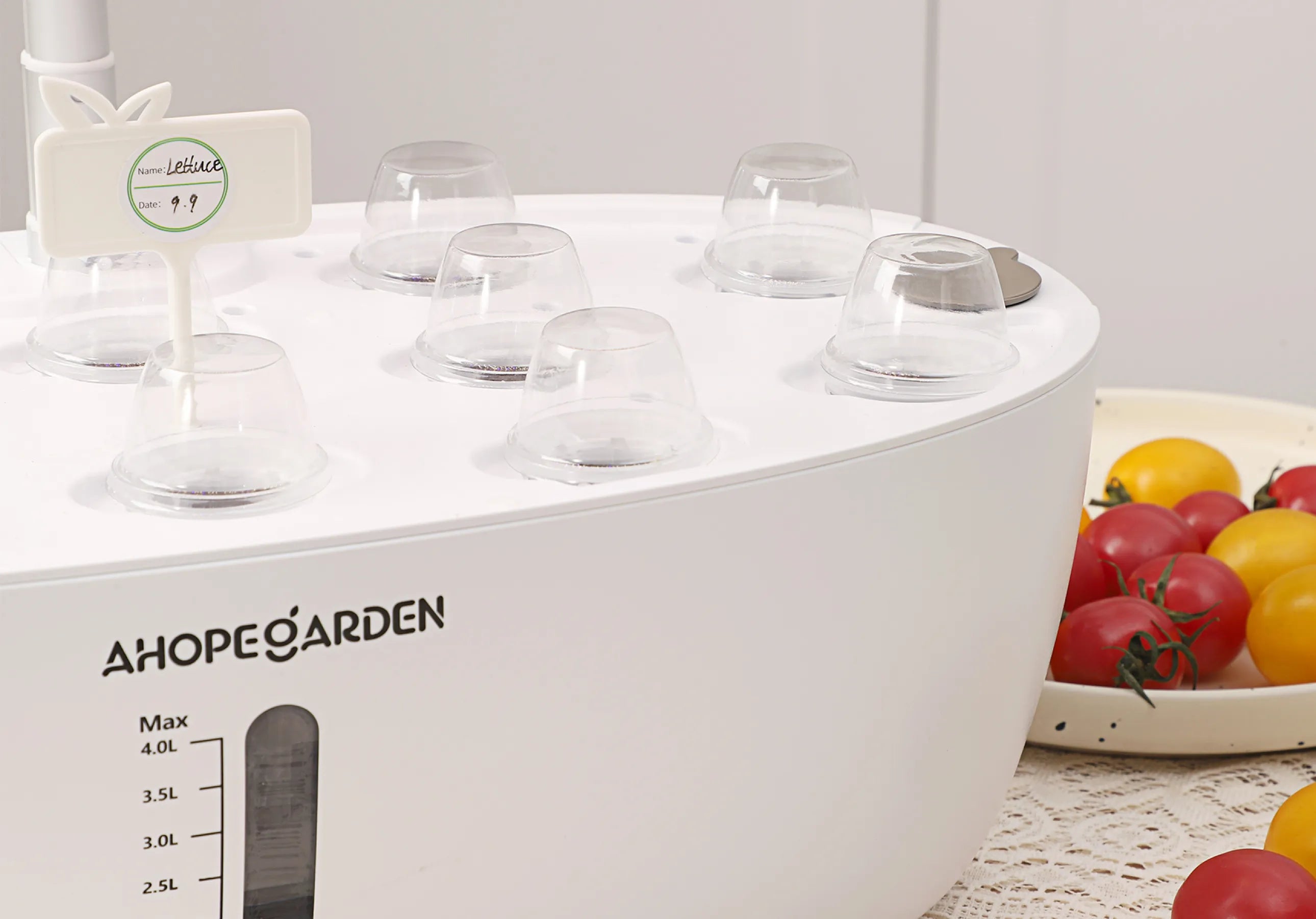 Install Seed Pods