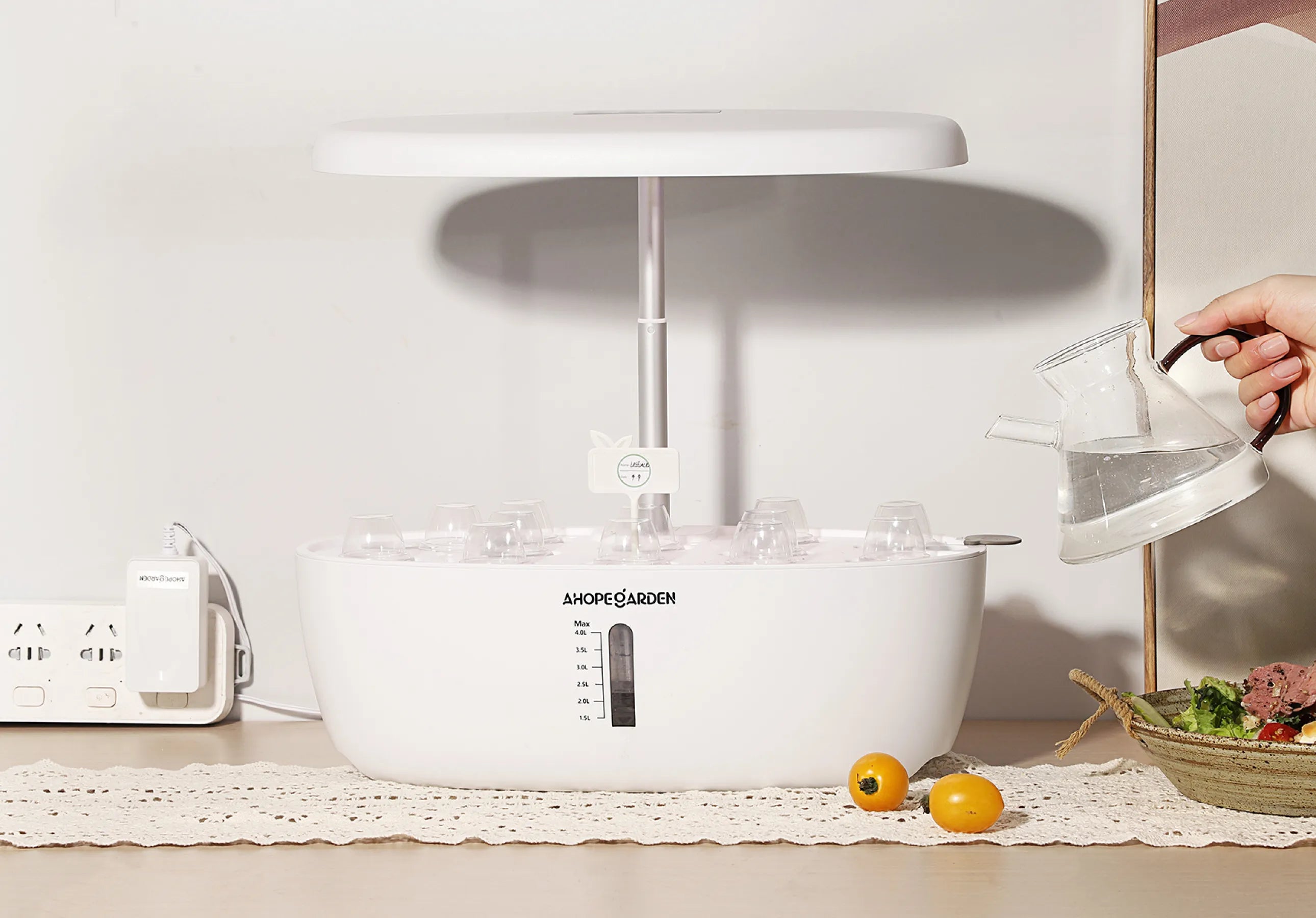Add Water & Connect Power